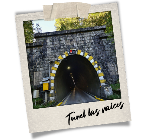 Tunel Las Raíces